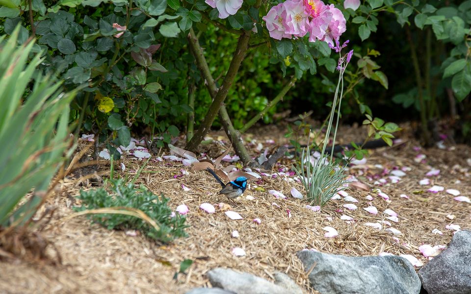 Mulgrave House and Cottage – By Latitude South Coast