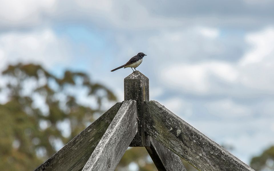 Mulgrave House and Cottage – By Latitude South Coast