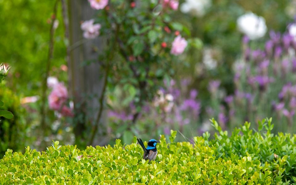 Mulgrave House and Cottage – By Latitude South Coast