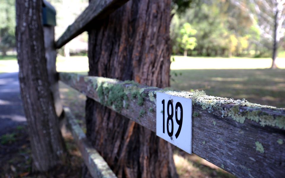 The Paddock in Berry