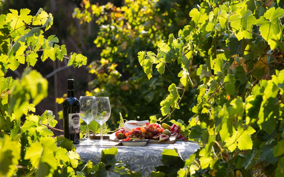 Provence Spa Villa 1