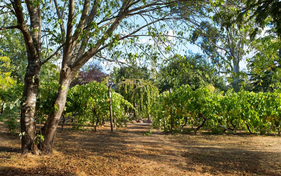 Provence Spa Villa 1