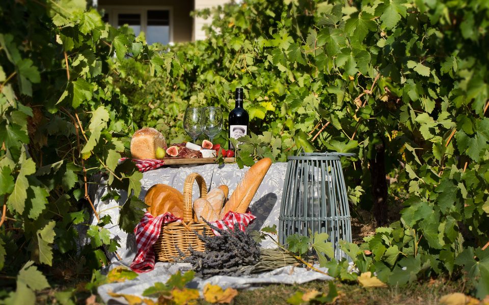 Provence Spa Villa 2