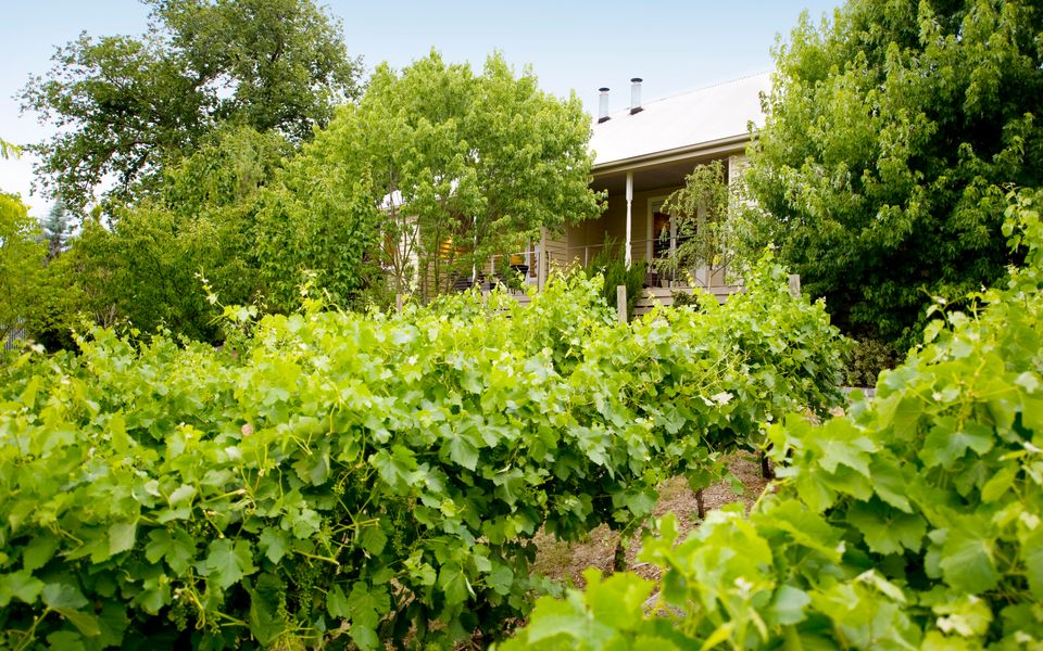 Provence Spa Villa 2