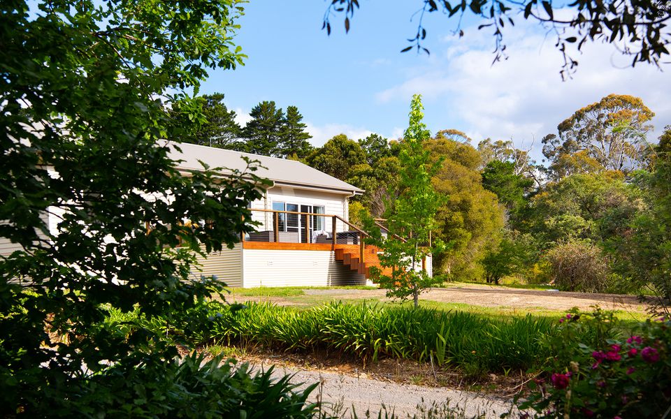 Brandy Hot Forest Retreat