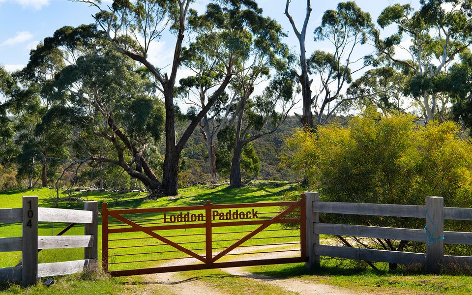 Loddon Paddock