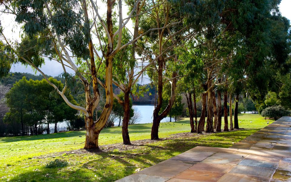 Lake Daylesford Lodge 5