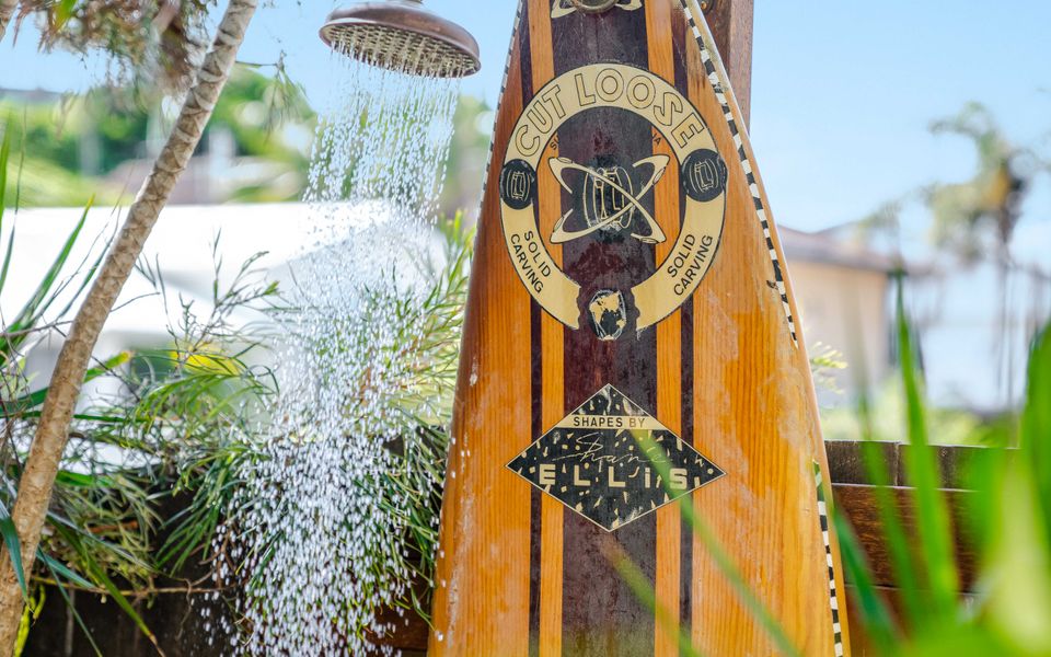 SEASHELLS | Popular Beach House