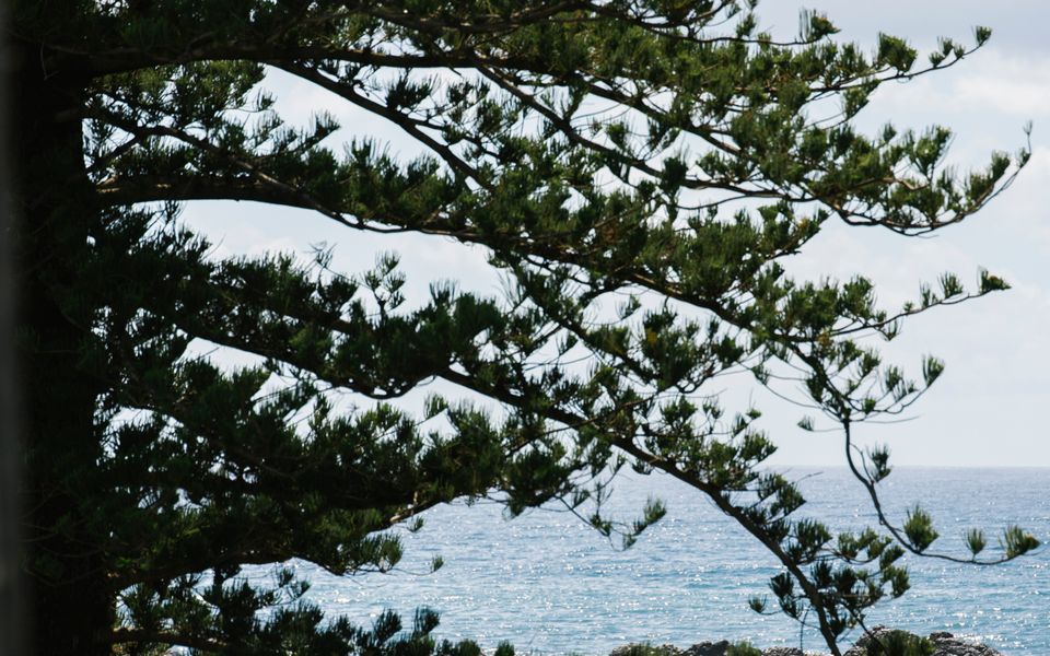 29 OCEAN ROAD, BROOMS HEAD