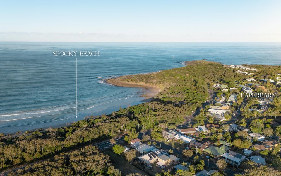 PAPERBARK | Angourie Oasis