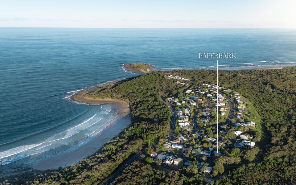 PAPERBARK | Angourie Oasis