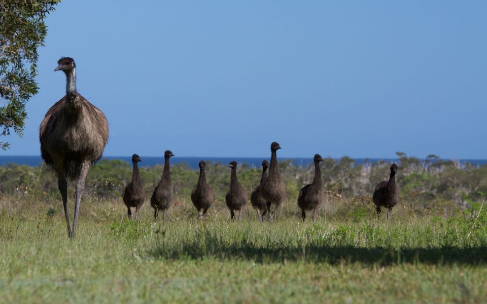 TOUMBAAL PLAINS | Exquisite architecturally designed home