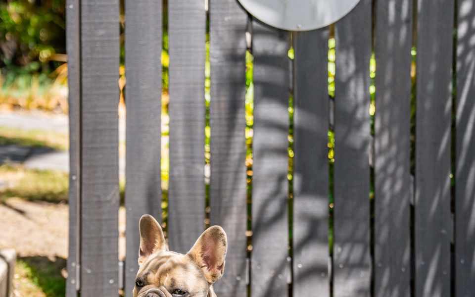 THE ELKS | Pet Friendly Home in Town