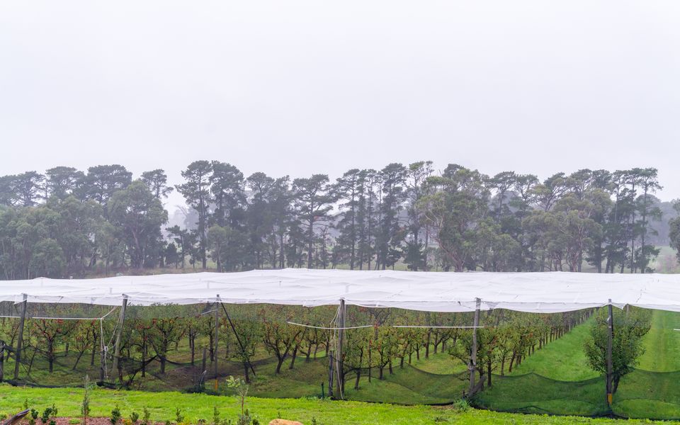 Pepper Paddocks - Warehouse meets Farm Winter Special - stay 2 or more nights and get an extra night for Free ! Available May 2026 - August 2026