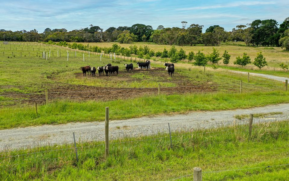 Pepper Paddocks - Warehouse meets Farm