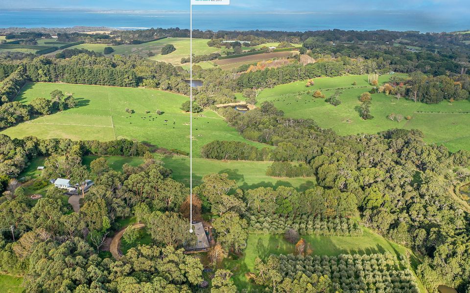 Olive Hill - Red Hill