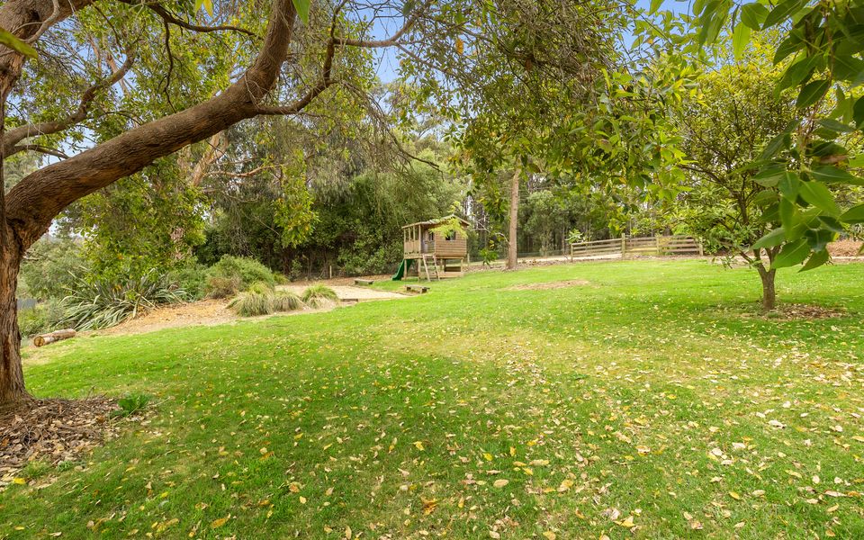 Olive Hill - Red Hill