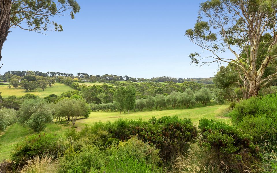 Olive Hill - Red Hill