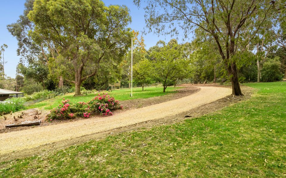 Olive Hill - Red Hill