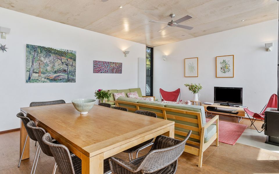 Coastal Banksia - Mt Martha