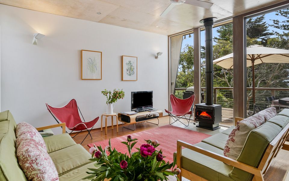 Coastal Banksia - Mt Martha