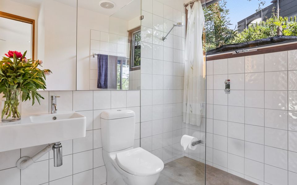 Coastal Banksia - Mt Martha