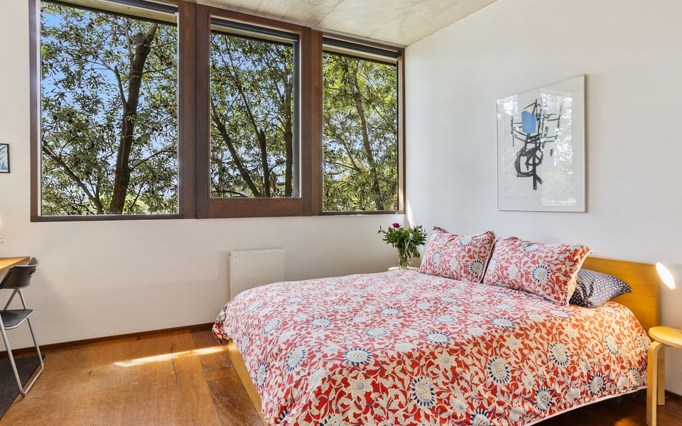 Coastal Banksia - Mt Martha