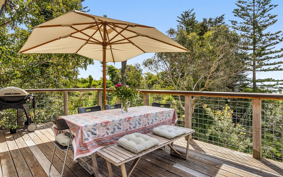 Coastal Banksia - Mt Martha