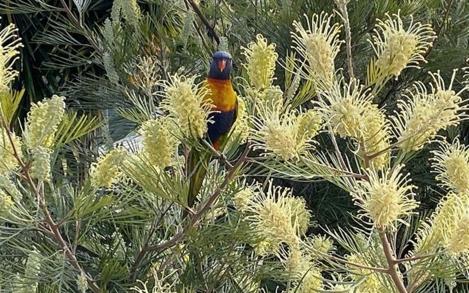 Woo23/15 – The Porthole of Huskisson by Experience Jervis Bay