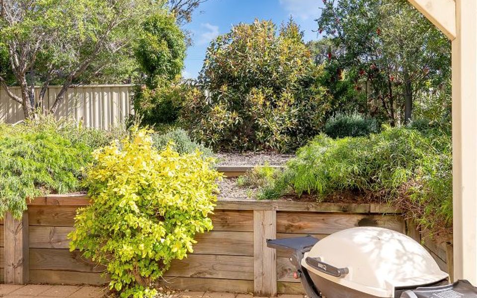 Woo23/15 – The Porthole of Huskisson by Experience Jervis Bay