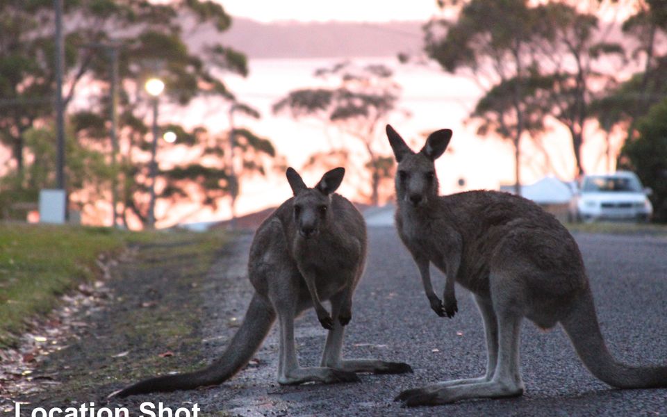 Sec57 – Jan’s Retreat by Experience Jervis Bay