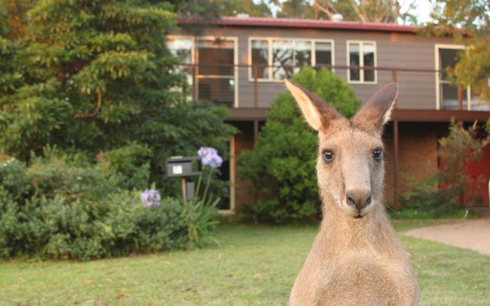 Sec57 – Jan’s Retreat by Experience Jervis Bay