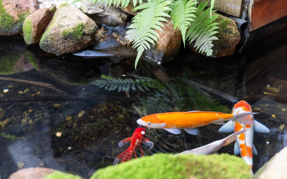 Ans138 – The Atrium by Experience Jervis Bay