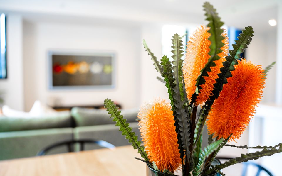 FegA203/15 – Happy Hour by Experience Jervis Bay