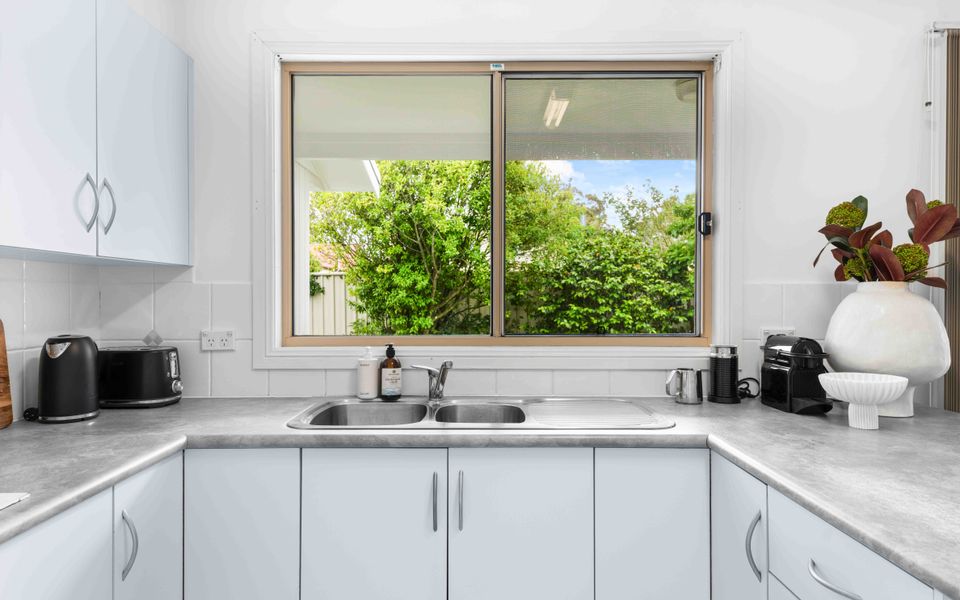 Cly5a – The Little Husky by Experience Jervis Bay