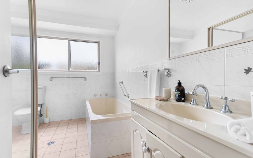 Cly5a – The Little Husky by Experience Jervis Bay