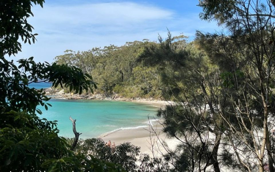 Eli1/393 – Banksia on Blenheim by Experience Jervis Bay