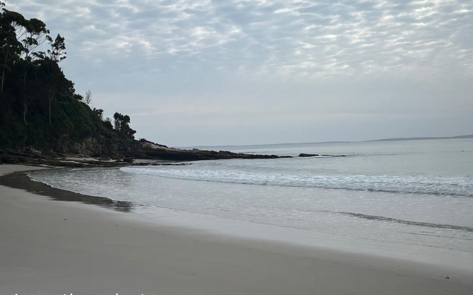 Eli1/393 – Banksia on Blenheim by Experience Jervis Bay