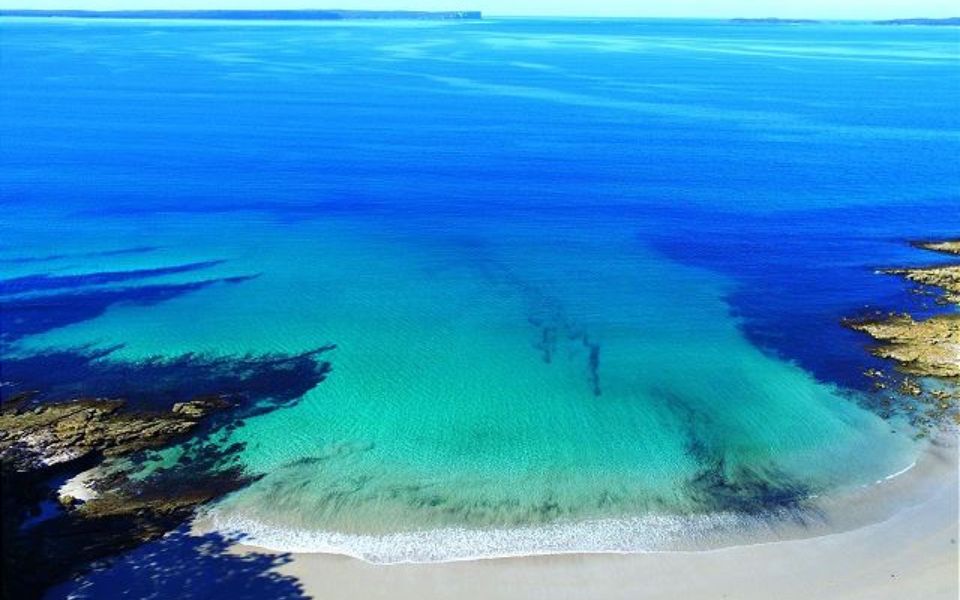 Eli1/393 – Banksia on Blenheim by Experience Jervis Bay