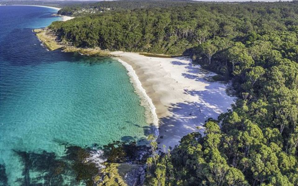 Eli1/393 – Banksia on Blenheim by Experience Jervis Bay