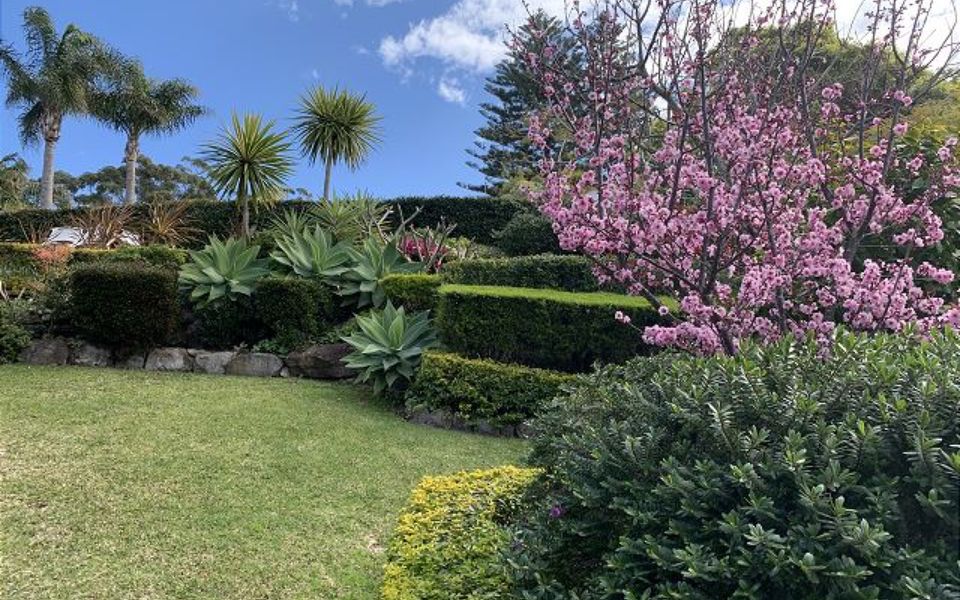 Eli365 – Alva Lee by Experience Jervis Bay