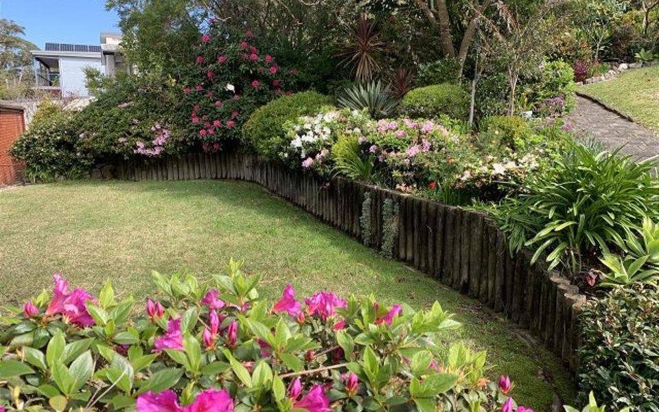 Eli365 – Alva Lee by Experience Jervis Bay