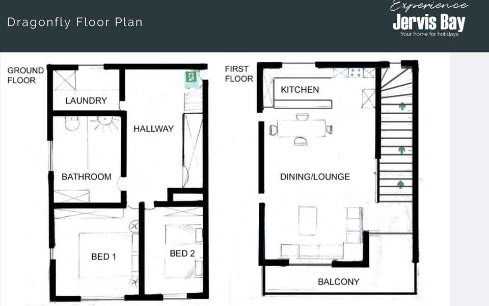 Ann1/22 – Dragonfly by Experience Jervis Bay