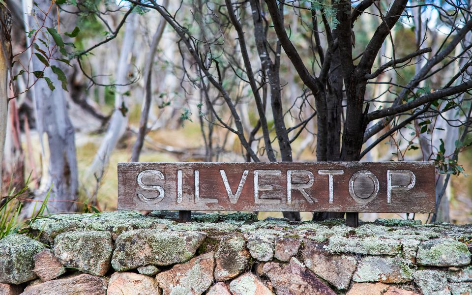 Silvertop Apartment