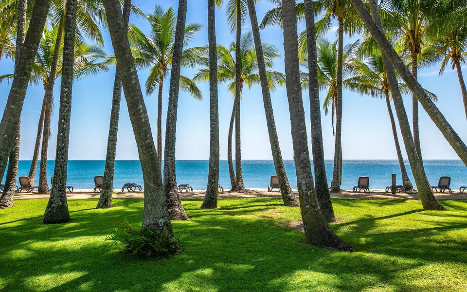 42 Alamanda Palm Cove