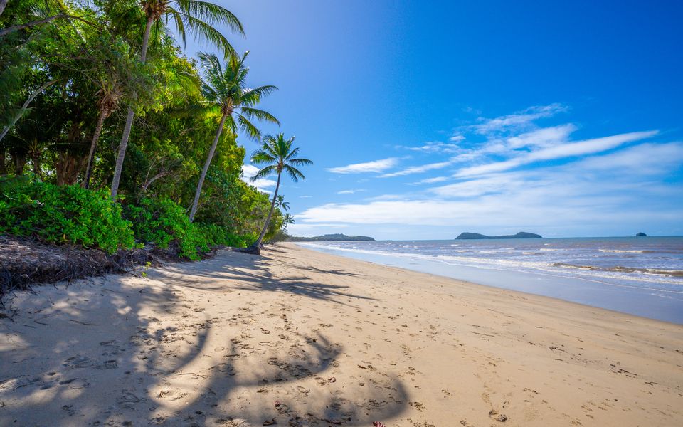 Beachside Oasis