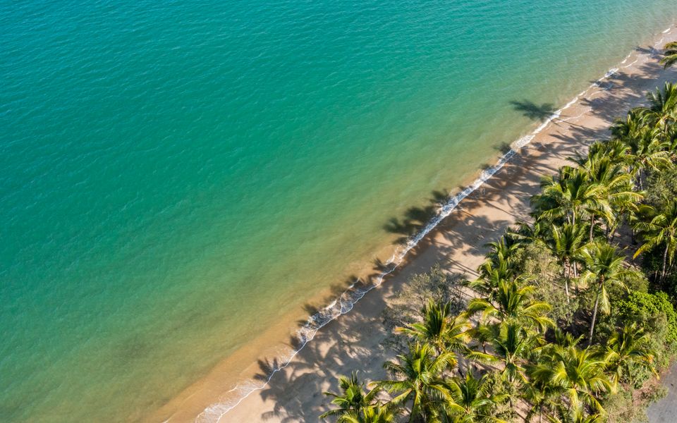 Beachside Oasis