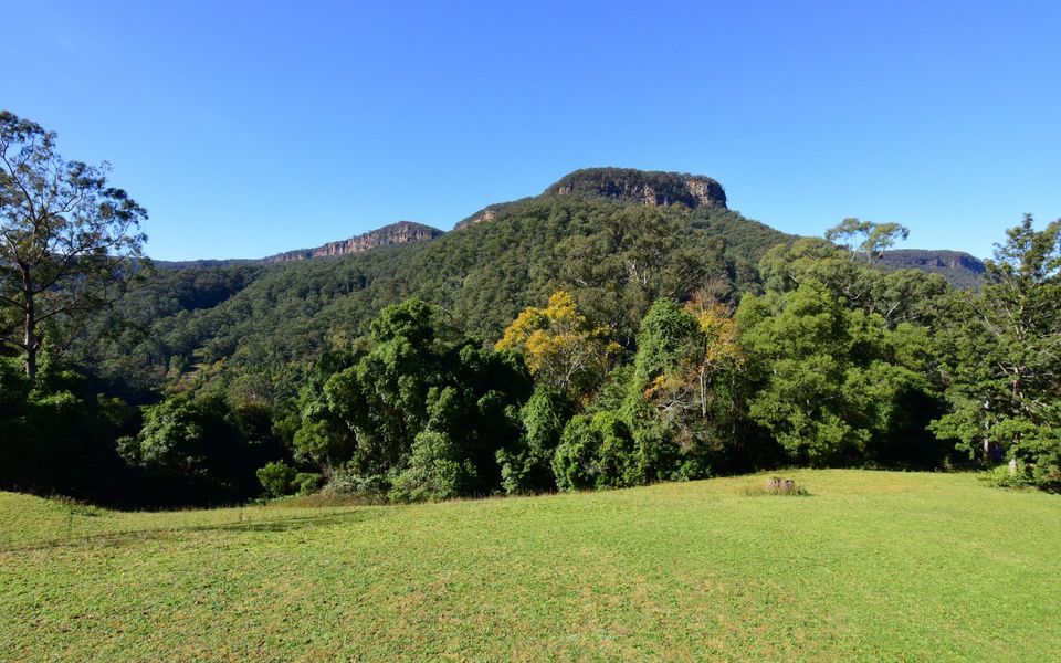 Yeola – Lush location with river access!