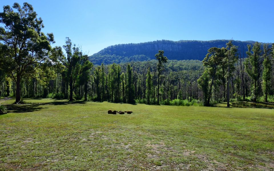 Pindari – Tiny Home Kangaroo Valley