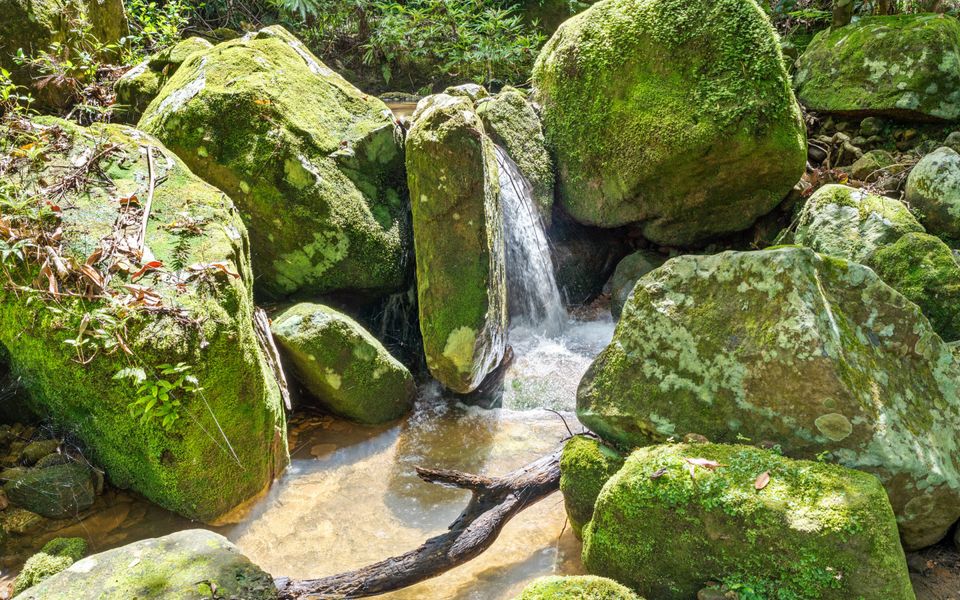 Billagunyah – Rainforest Retreat